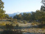 Bivouac