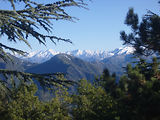 Bivouac