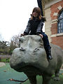 Musum d'histoire naturelle