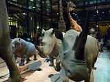 Musum d'histoire naturelle