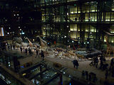 Musum d'histoire naturelle