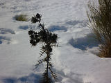 Balade 4x4 dans la neige