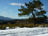 Balade 4x4 dans la neige