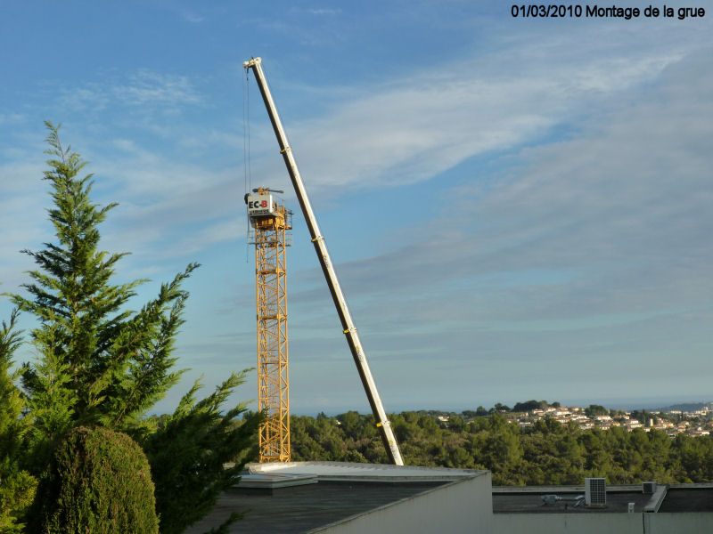 Grue Grue