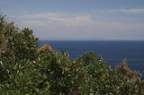 Cap Camara - St Tropez