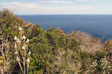 Cap Camara - St Tropez