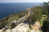 Cap Camara - St Tropez