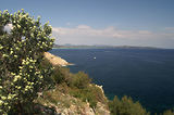 Cap Camara - St Tropez