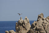 Cap Camara - St Tropez