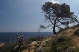 Cap Camara - St Tropez