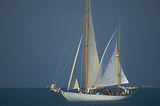 Les Voiles d'Antibes