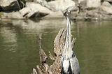 Weekend en Camargue