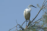 Weekend en Camargue