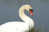 Weekend en Camargue