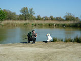 Weekend en Camargue