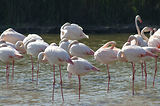 Weekend en Camargue
