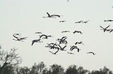 Weekend en Camargue