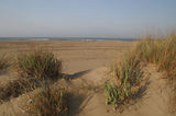 Weekend en Camargue