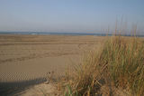 Weekend en Camargue