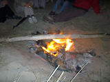Weekend en Camargue