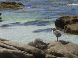 Weekend aux Glnan