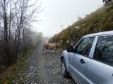 Balade 4x4 Redempteur
