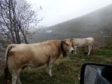 Balade 4x4 Redempteur