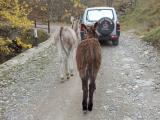 Balade 4x4 Redempteur
