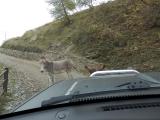 Balade 4x4 Redempteur