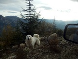 Balade 4x4 Escarne