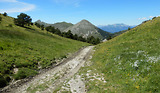 Weekend 4x4 dans les lavandes