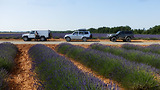 Weekend 4x4 dans les lavandes