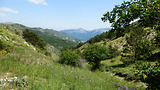 Weekend 4x4 dans les lavandes