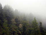 Balade 4x4 brumeuse dans la Roya